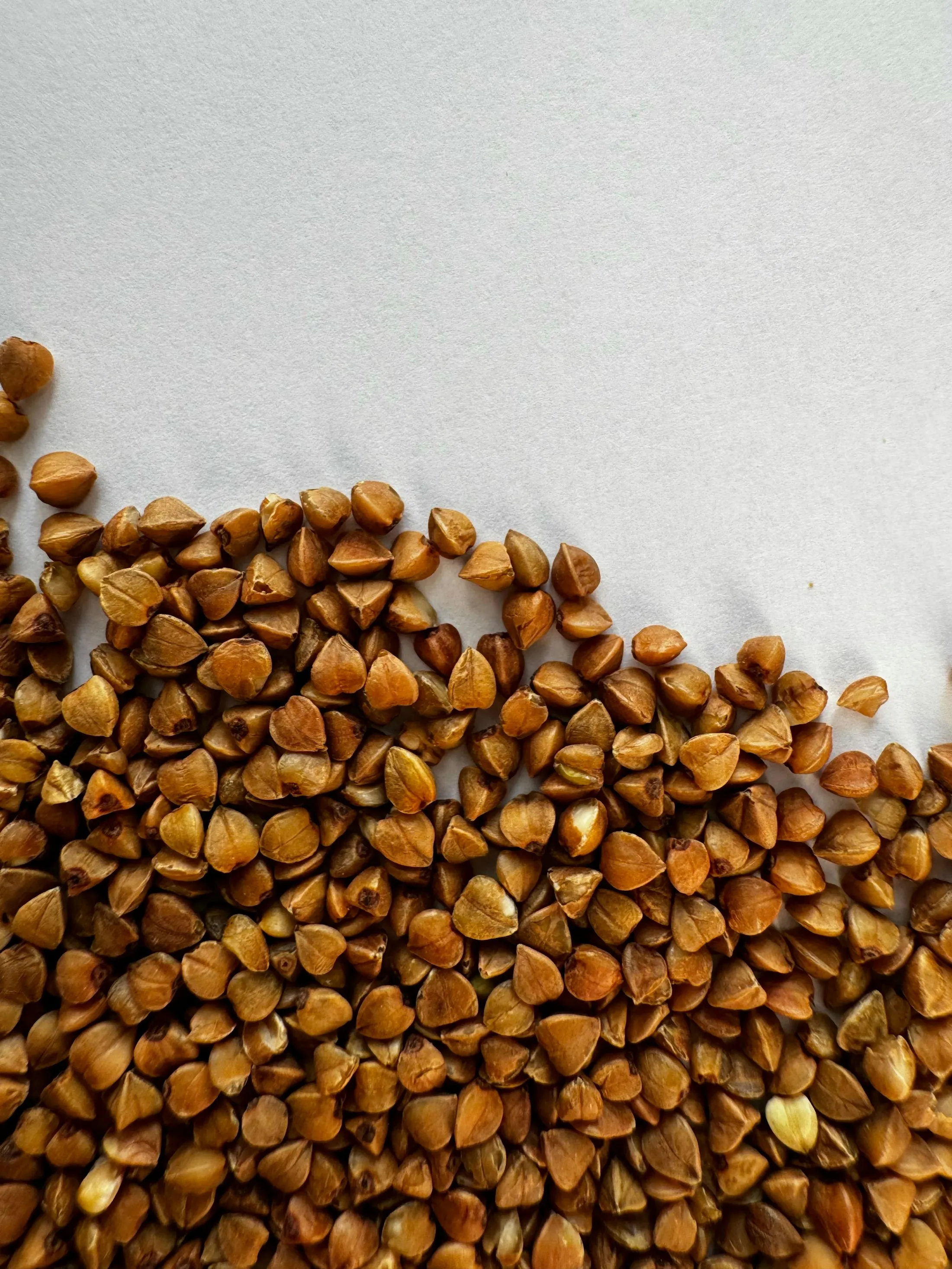 Les grains, moulus à la meule
