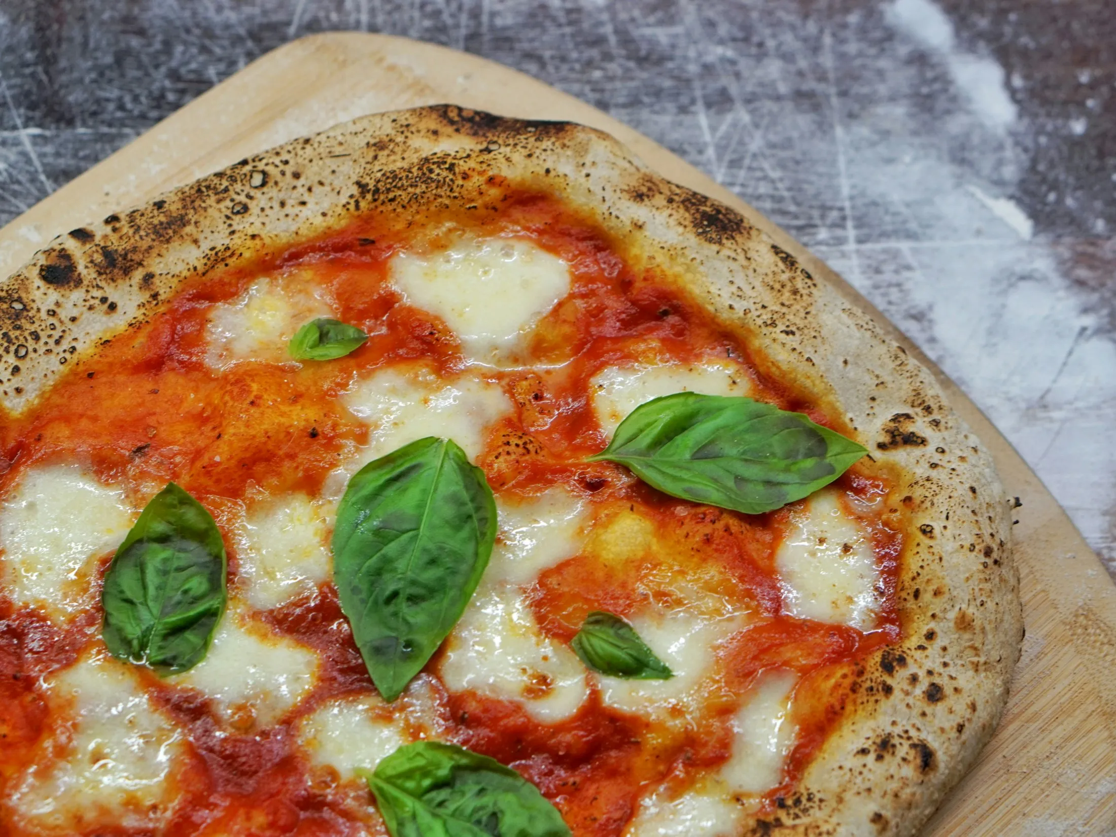 Gros plan d’une margherita au basilic